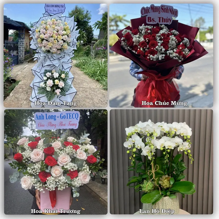 Mẫu hoa tươi giao tại Tân Khánh, TP.HCM
