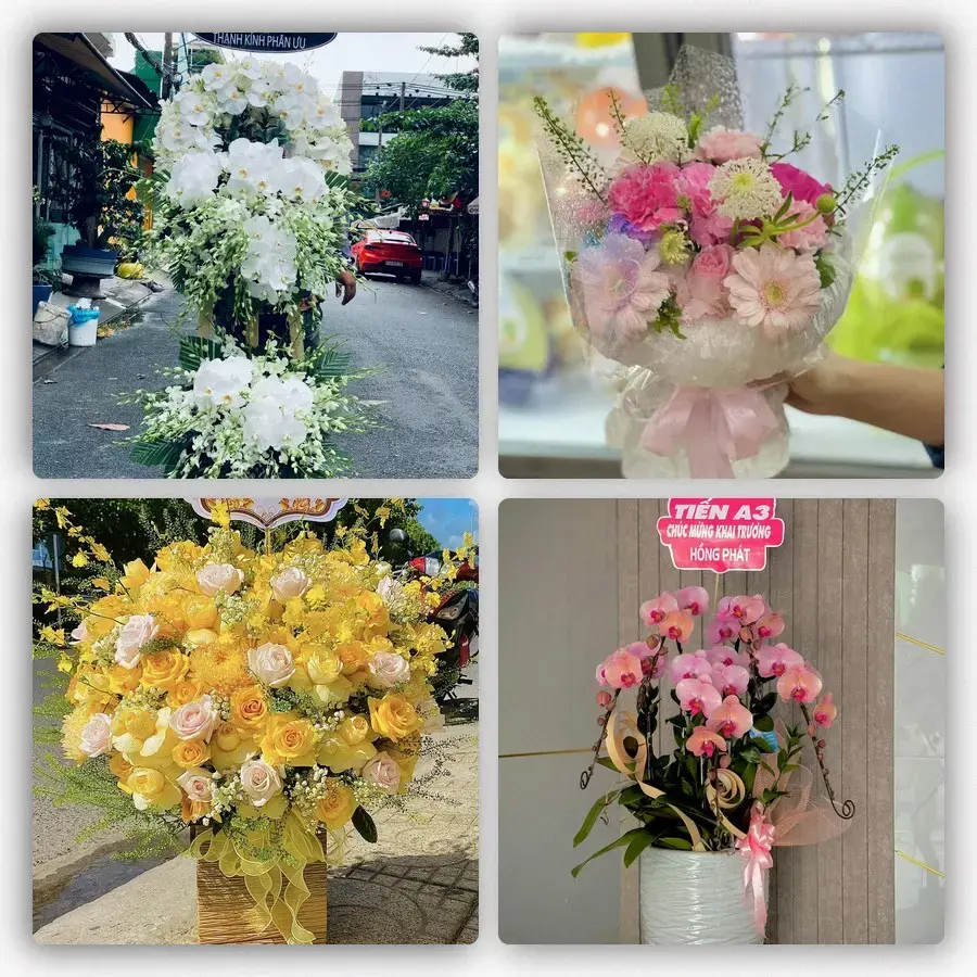 Mẫu hoa tươi tại Tân Lạc