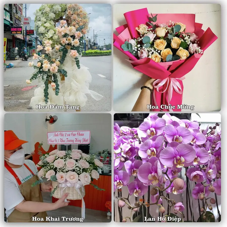 Đặt hoa giao tận nơi khu Tân Phú, TP.HCM