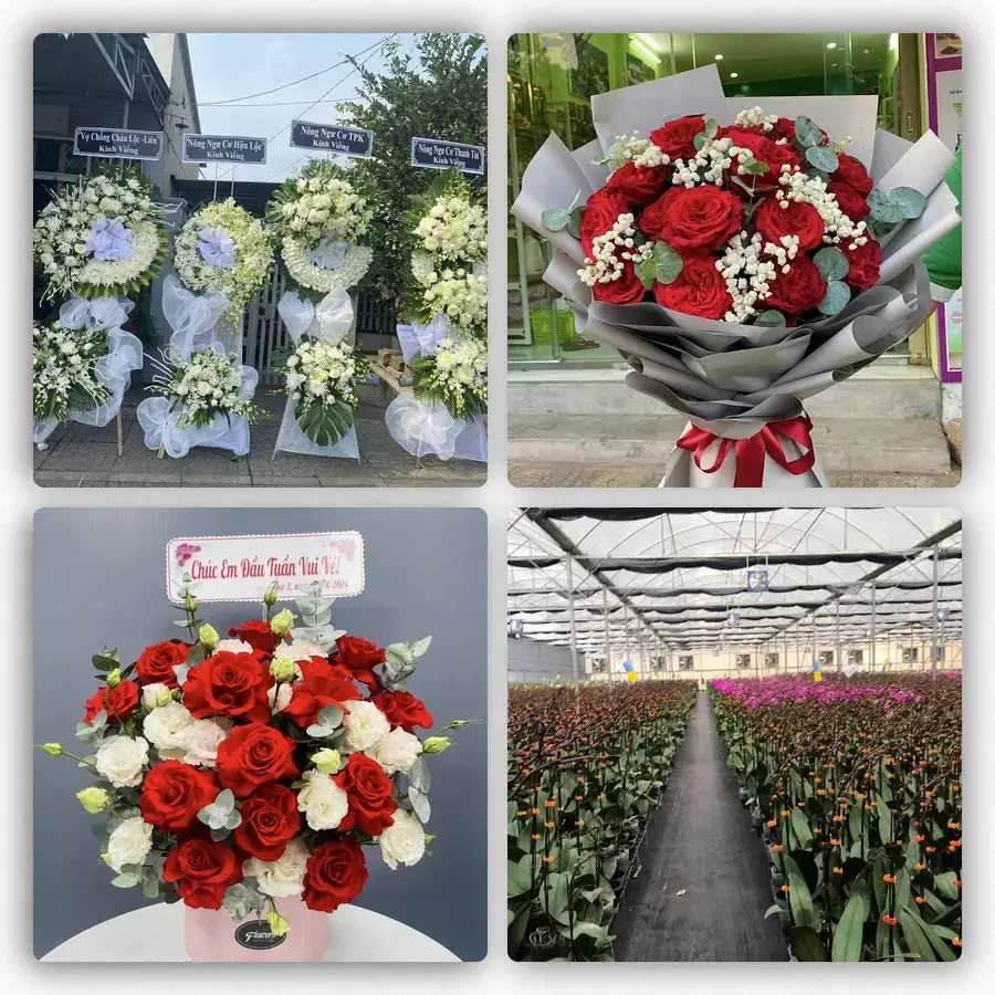 Mẫu hoa tươi tại Tân Phú Tây