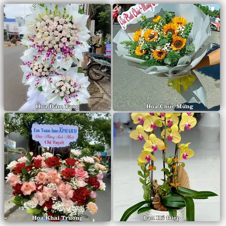 Đặt hoa giao tận nơi khu Tân Sơn Hòa, TP.HCM