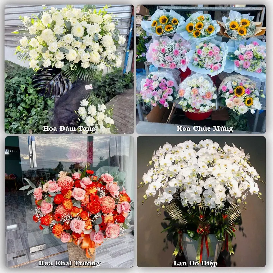 Đặt hoa giao tận nơi khu Tân Sơn Nhì, Tân Phú