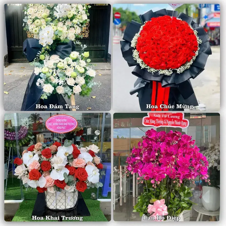Shop hoa tươi Tân Sơn Nhì – hoa sinh nhật, tân gia giao tận nơi