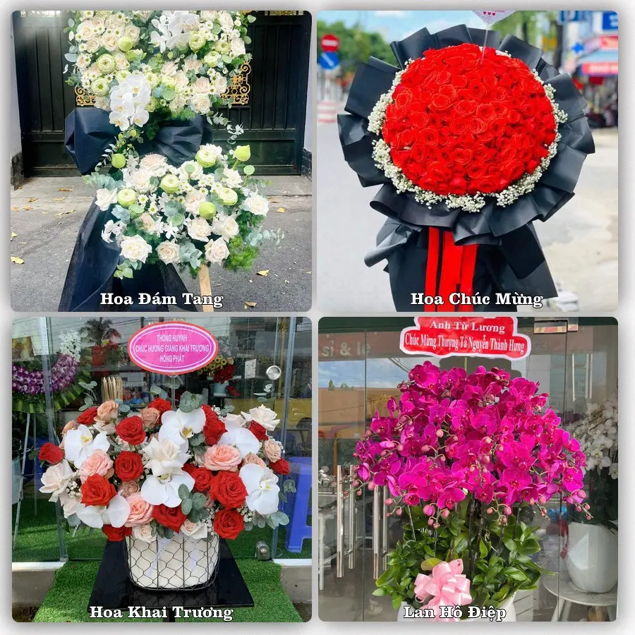 Mẫu hoa tươi giao tại Tân Sơn Nhì, Tân Phú