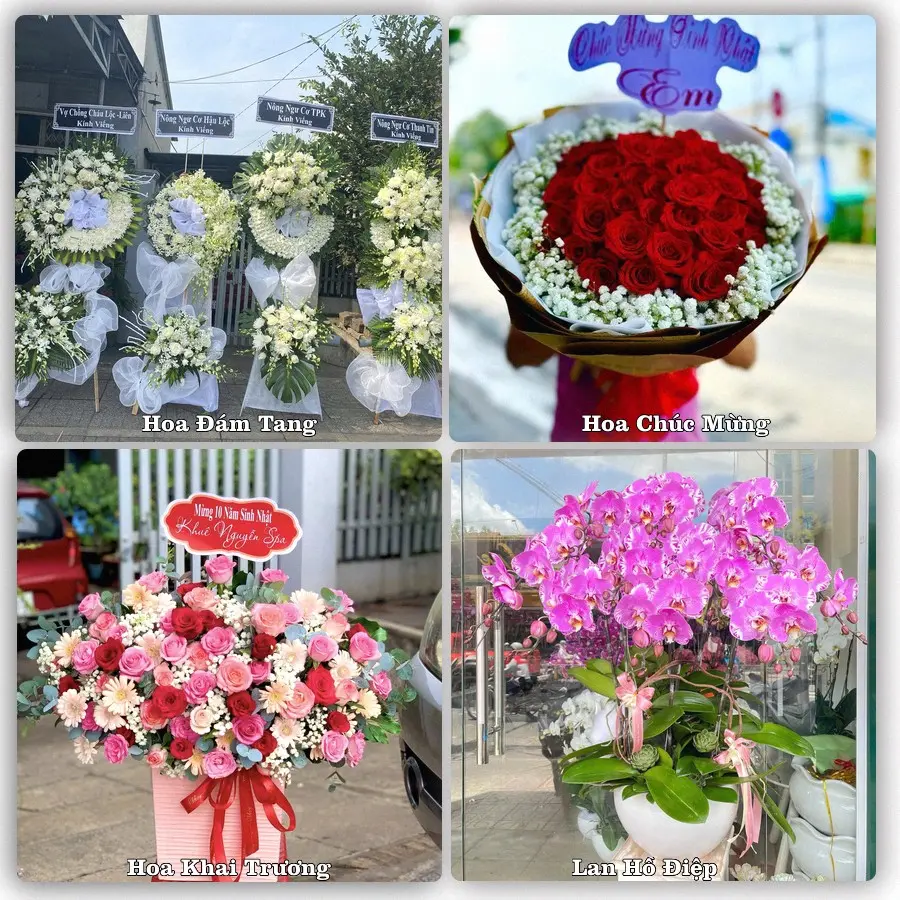 Đặt hoa giao tận nơi khu Tân Sơn, TP.HCM