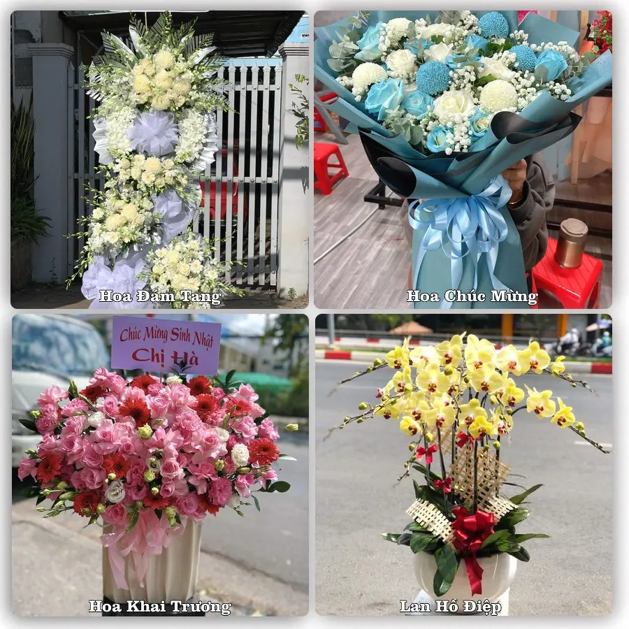 Mẫu hoa tươi giao tại Tân Vĩnh Lộc, TP.HCM