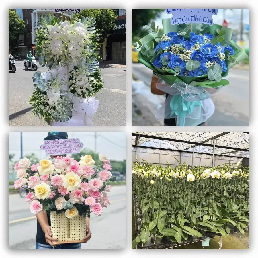 Mẫu hoa tươi tại Tằng Loỏng