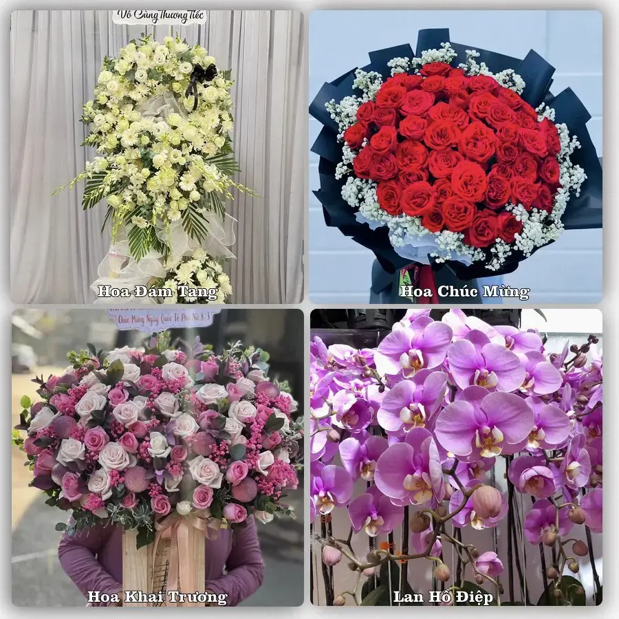 Shop hoa tươi Tây Nha Trang, Khánh Hòa – đặt hoa theo dịp, giao tận nơi