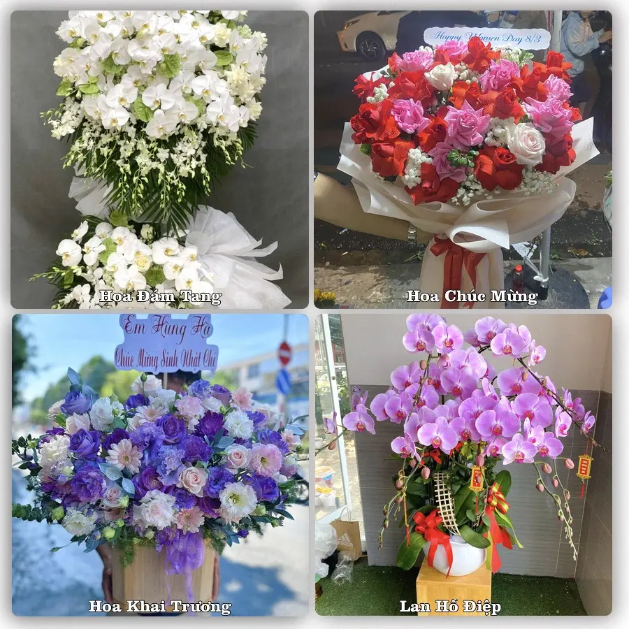 Đặt hoa giao tận nơi khu Tây Thạnh, TP.HCM