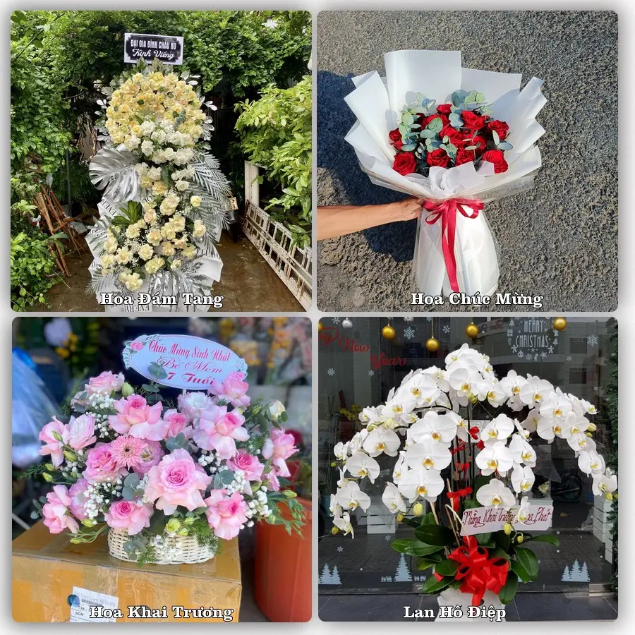 Mẫu hoa tươi giao tại Tây Thạnh, TP.HCM