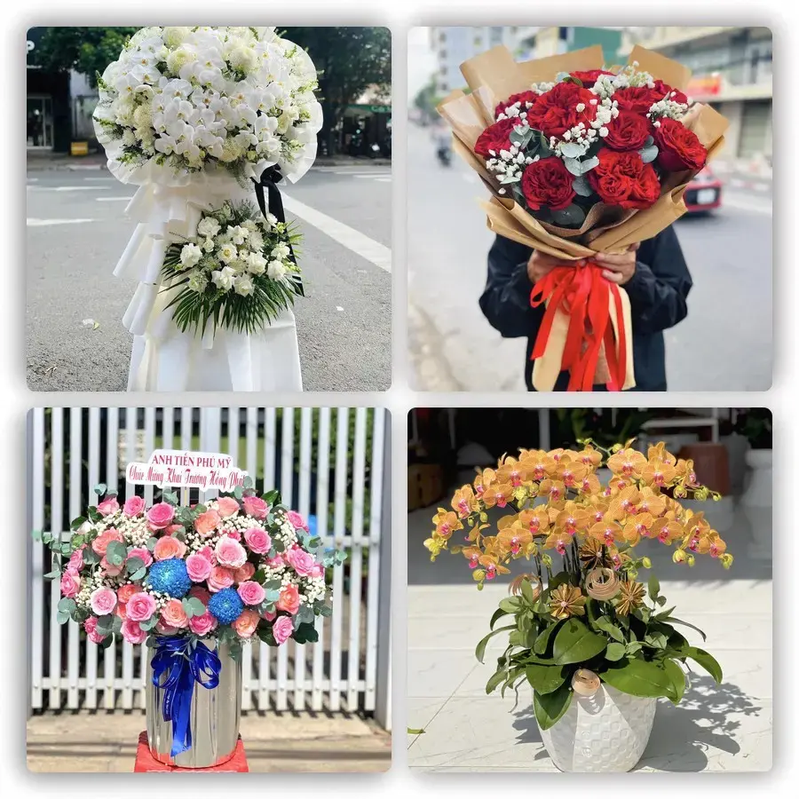 Mẫu hoa tươi tại Thạnh Phú