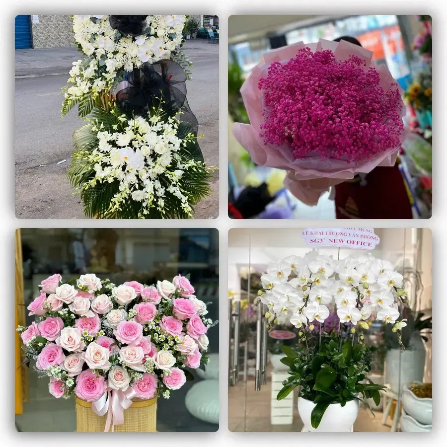 Mẫu hoa tươi tại Thạnh Phước