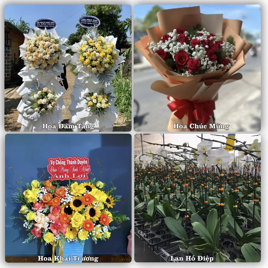 Đặt hoa giao tận nơi khu Thành Sen, Hà Tĩnh