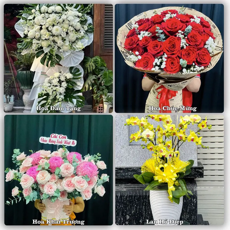 Mẫu hoa tươi giao tại Thành Vinh, Nghệ An