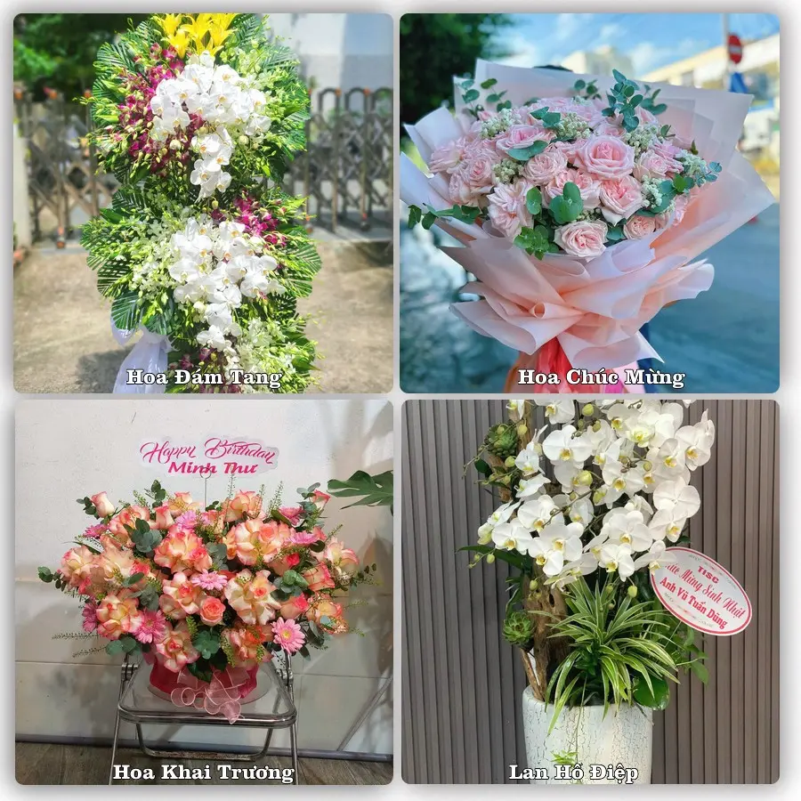 Mẫu hoa tươi giao tại Thông Tây Hội, Gò Vấp