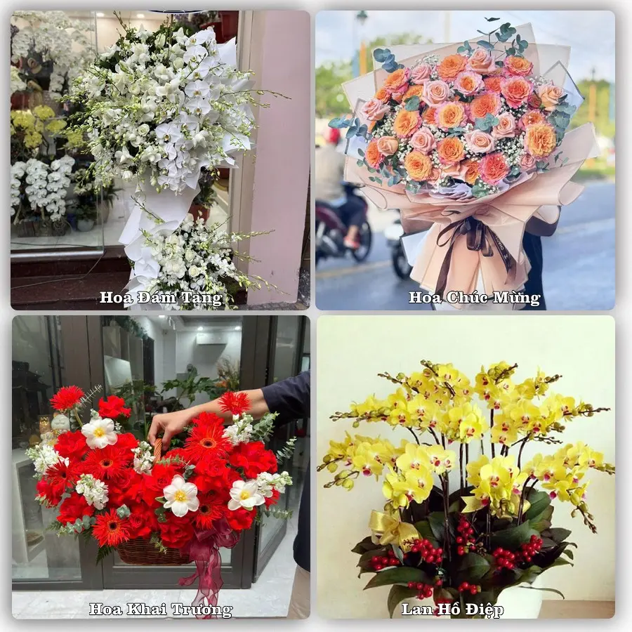 Mẫu hoa tươi giao tại Thủ Đức, TP.HCM