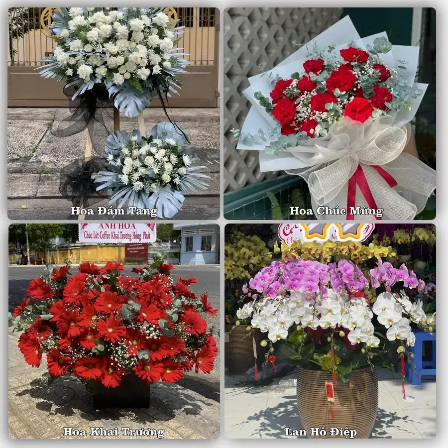 Đặt hoa giao tận nơi khu Thuận An, TP.HCM