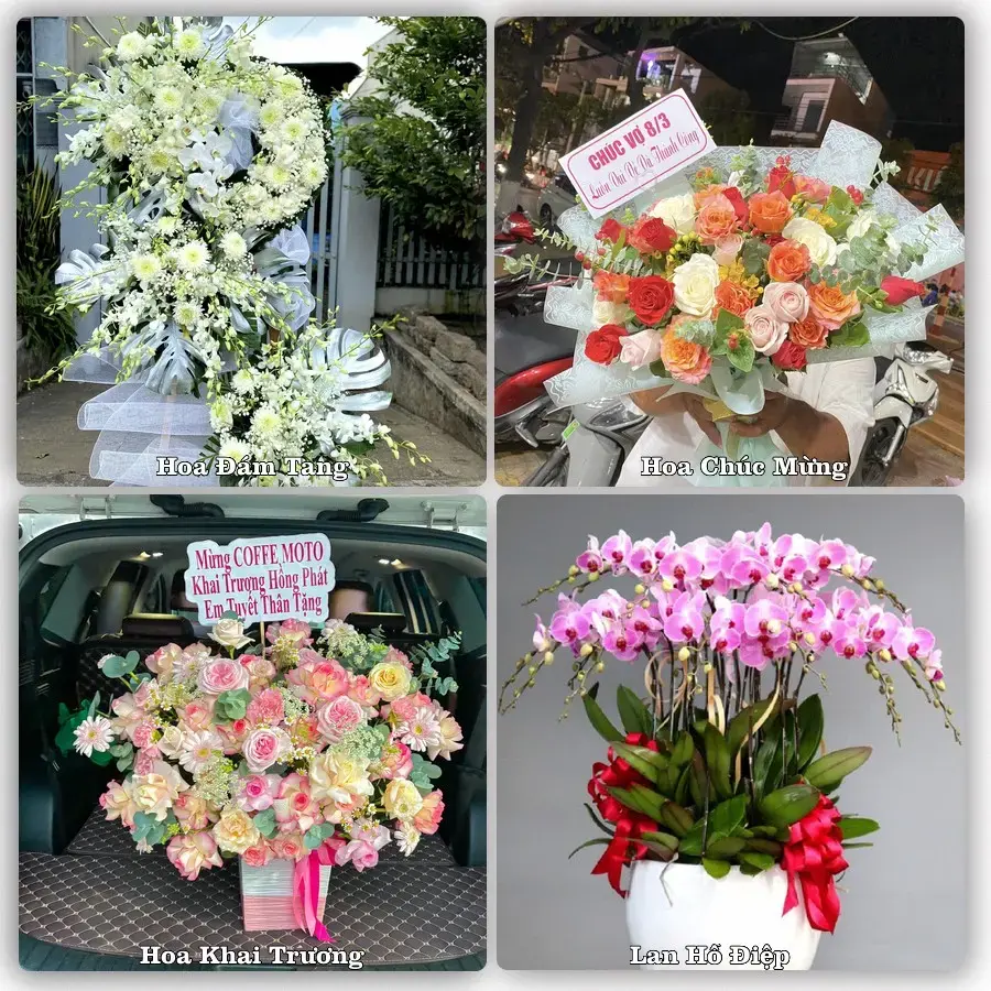 Shop hoa tươi Thuận Giao – hoa chúc mừng, khai trương giao khu công nghiệp