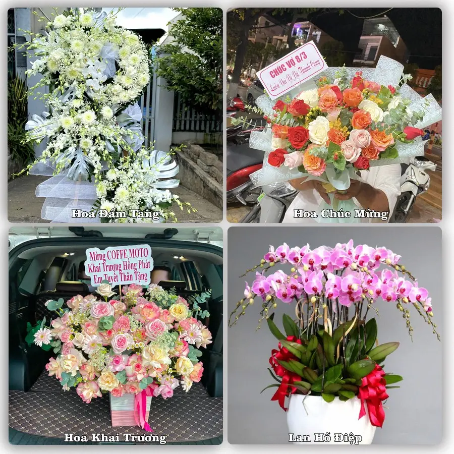 Mẫu hoa chúc mừng giao tại Thuận Giao, Thuận An