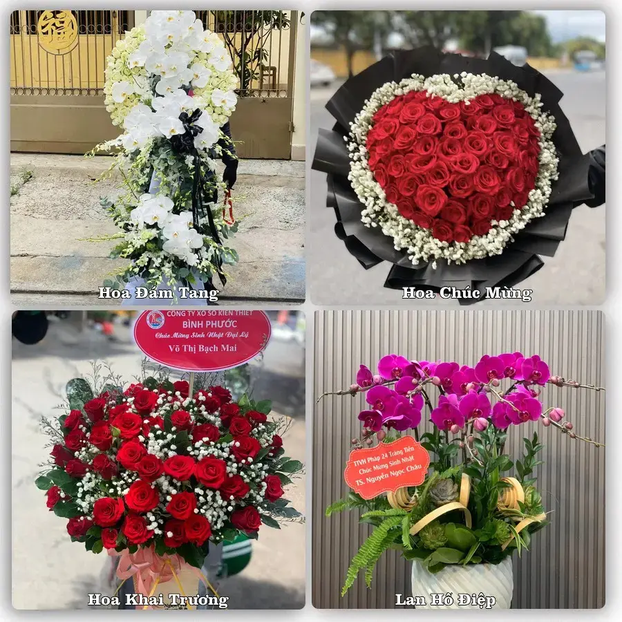 Shop Hoa Tươi Thủy Nguyên – Đặt Giao Hoa Nhanh Tại Hải Phòng