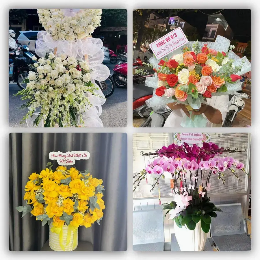 Mẫu hoa tươi tại Tiên Lãng