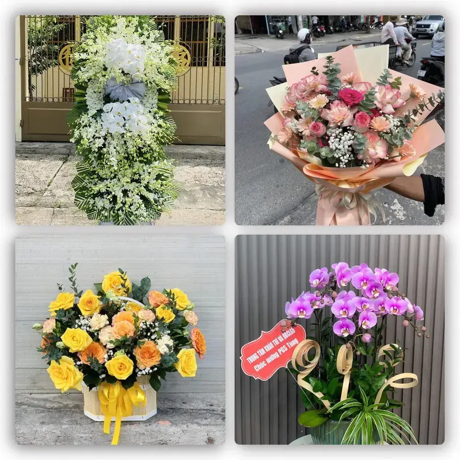 Mẫu hoa tươi tại Trà Cú