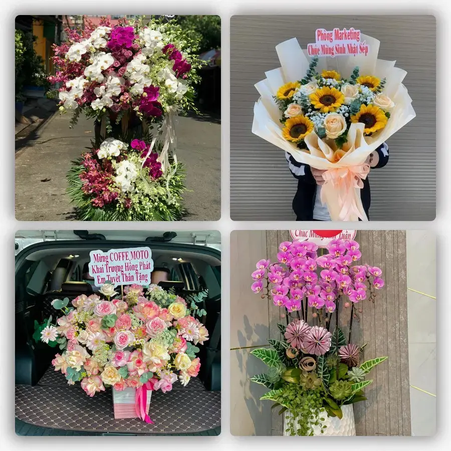 Mẫu hoa tươi tại Trà My