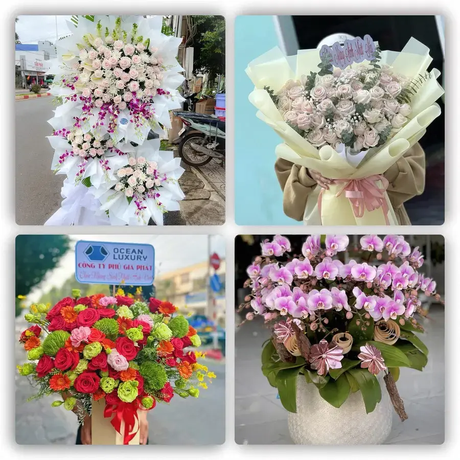 Shop Hoa Tươi tại Trạm Trôi (Xã Hoài Đức, Hà Nội mới)