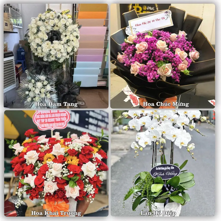 Mẫu hoa tươi giao tại Trần Lãm, Hưng Yên