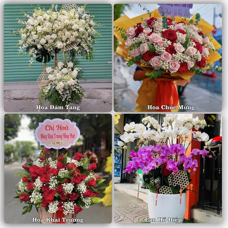 Mẫu hoa tươi giao tại Trảng Dài, Đồng Nai