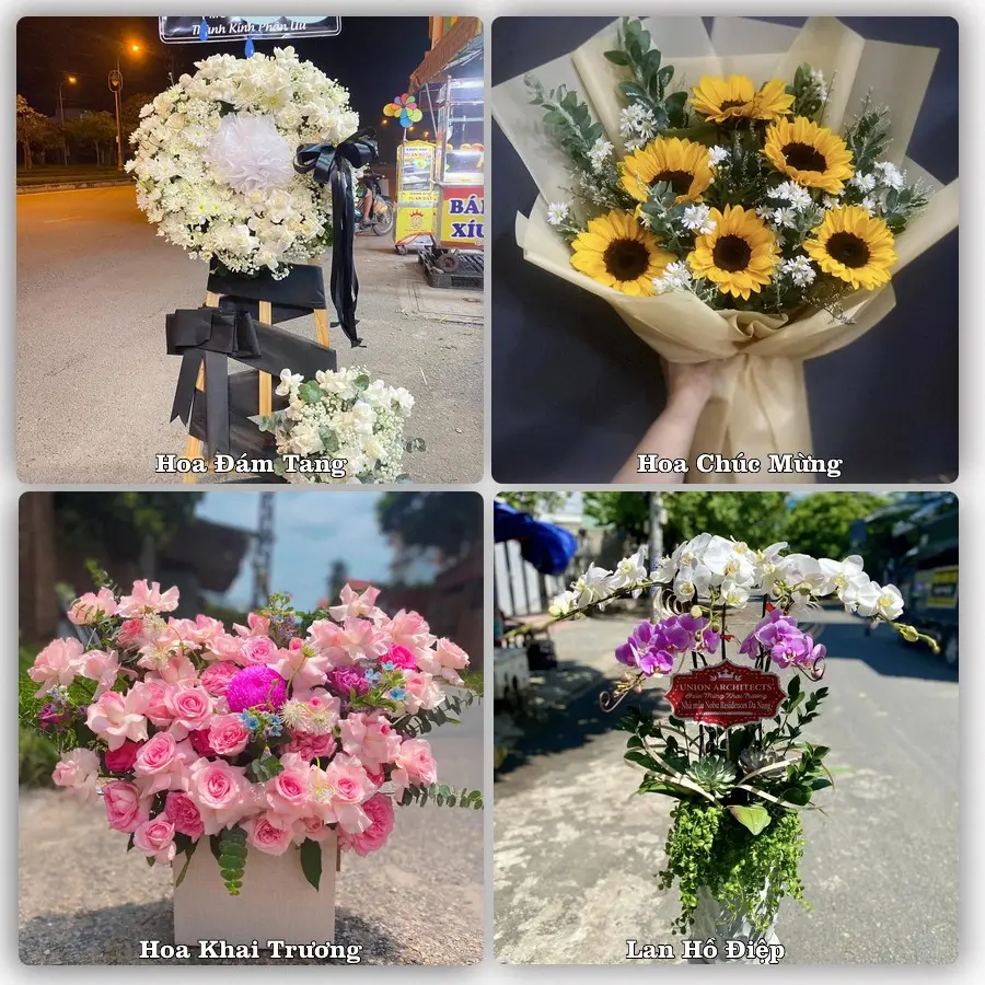 Mẫu hoa tươi giao tại Trường Vinh, Nghệ An