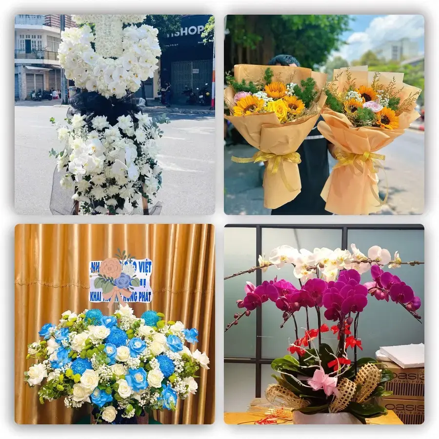 Mẫu hoa tươi tại Tuy Phước