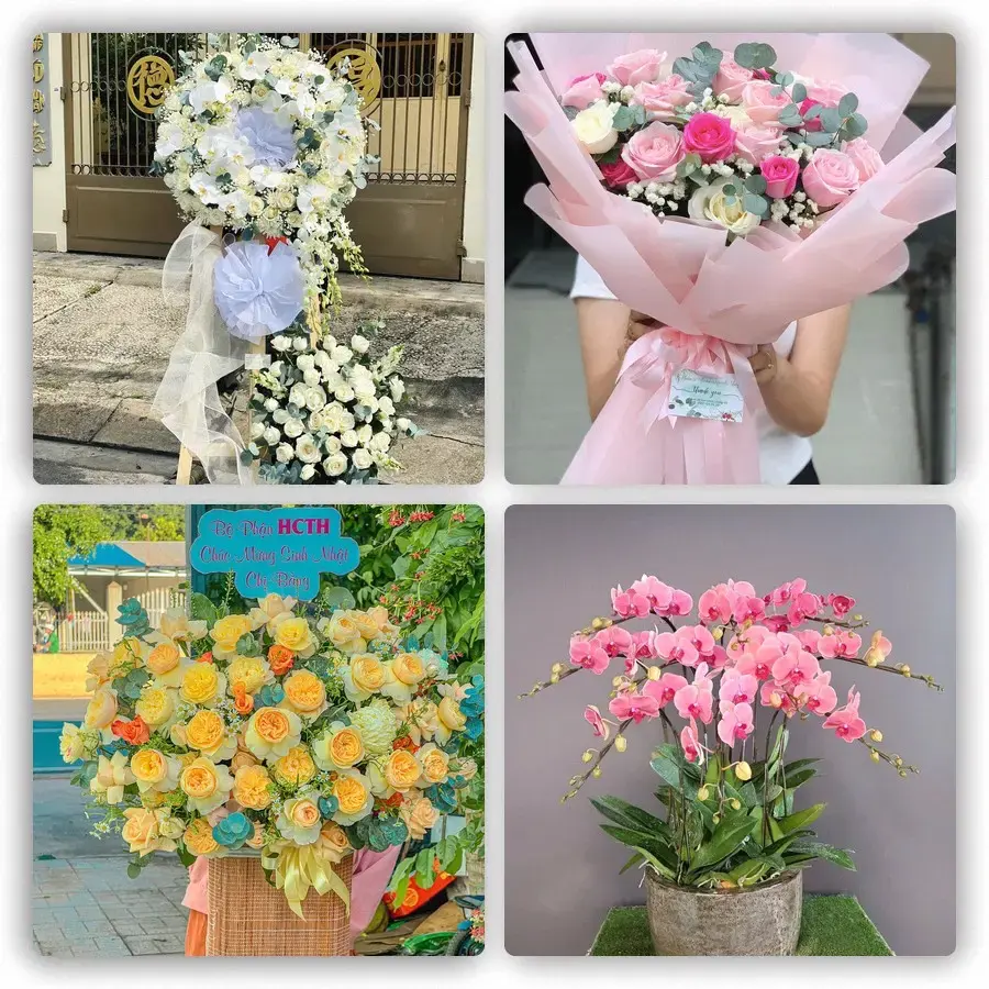 Mẫu hoa tươi tại Vạn Giã