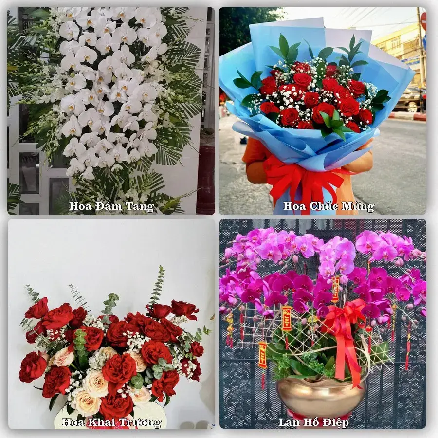 Shop hoa tươi Vị Thanh, Hậu Giang – Giao tận nơi trong 2 giờ