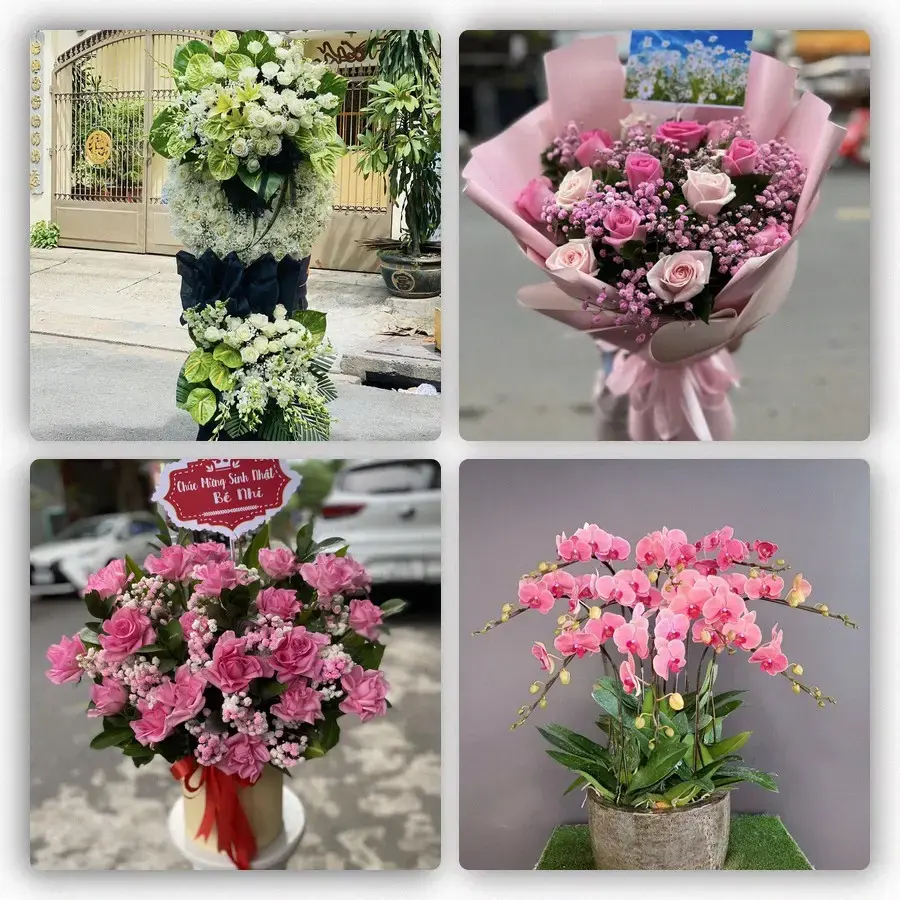 Mẫu hoa tươi tại Vĩnh Bảo