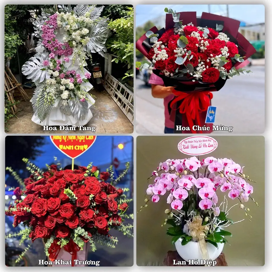 Mẫu hoa tươi giao tại Vĩnh Lộc, TP.HCM