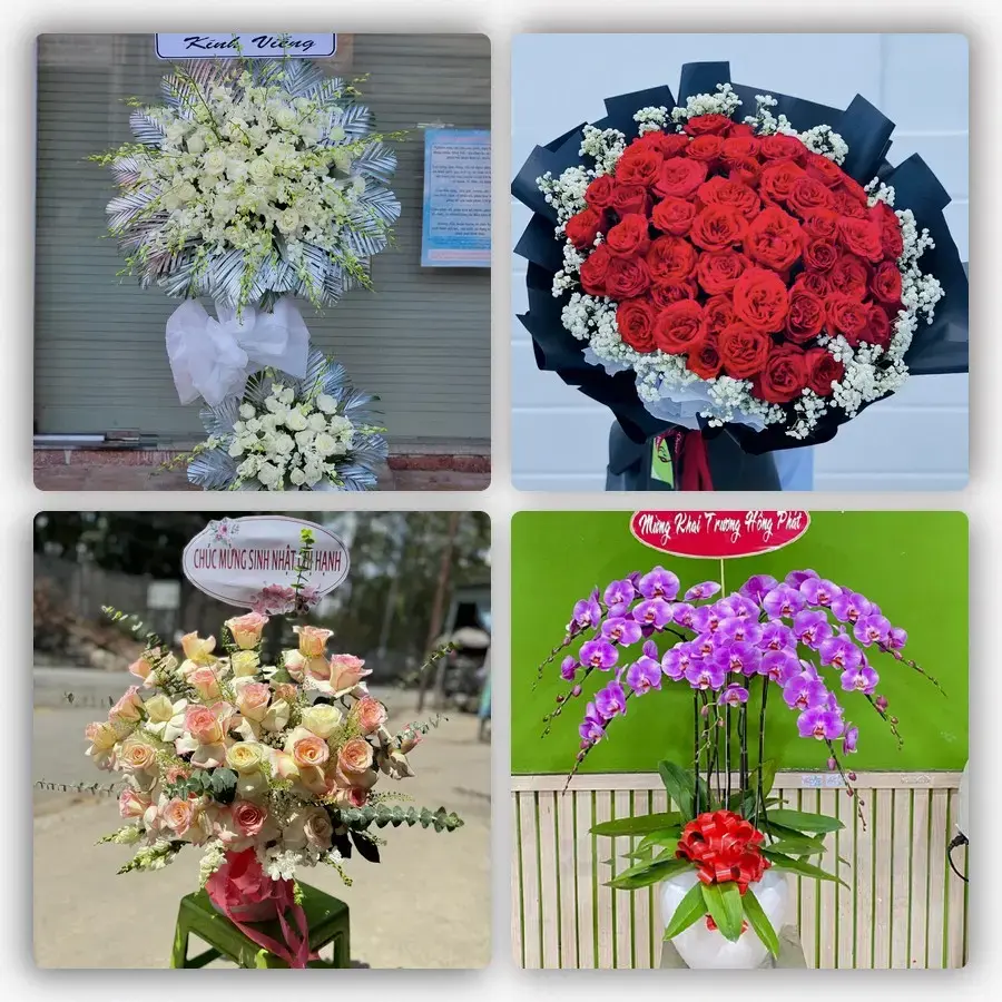 Mẫu hoa tươi tại Vũ Thư