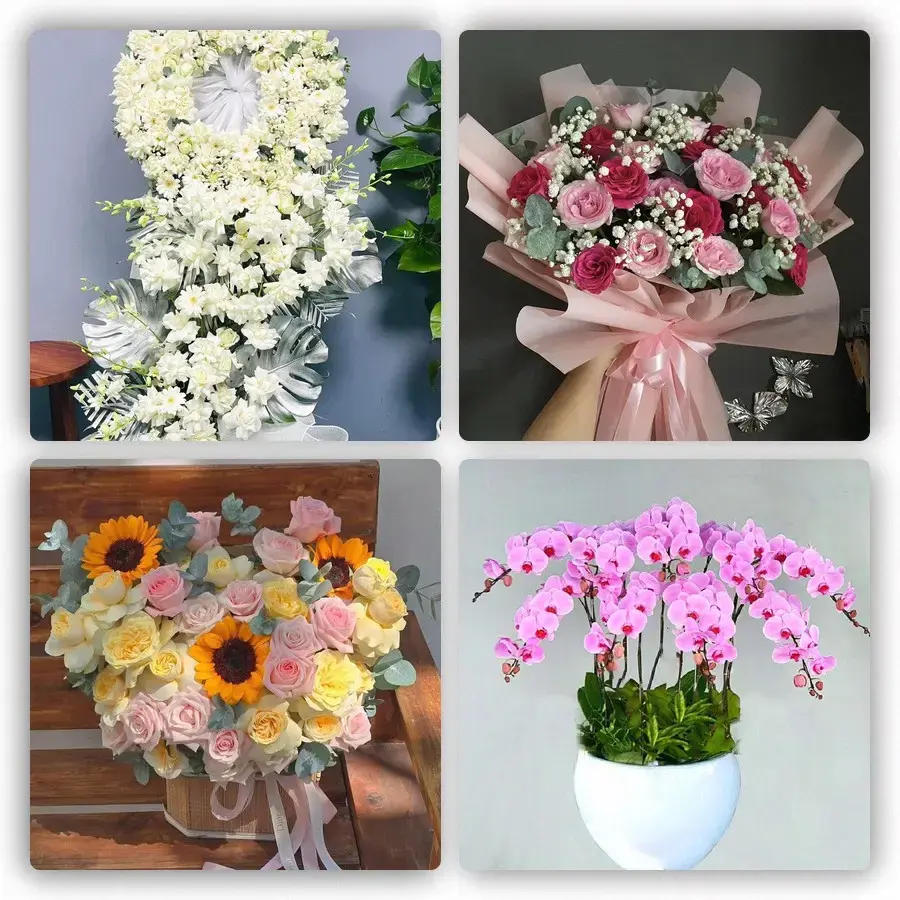 Mẫu hoa tươi tại Vũng Liêm