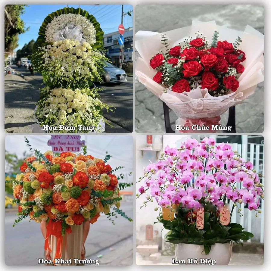 Đặt hoa giao tận nơi khu Vũng Tàu, TP.HCM