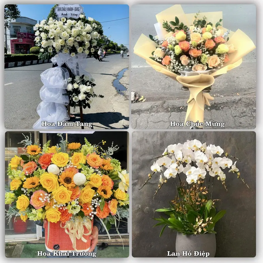 Tư vấn chọn hoa theo người nhận và dịp tặng tại Phường Xuân Hòa