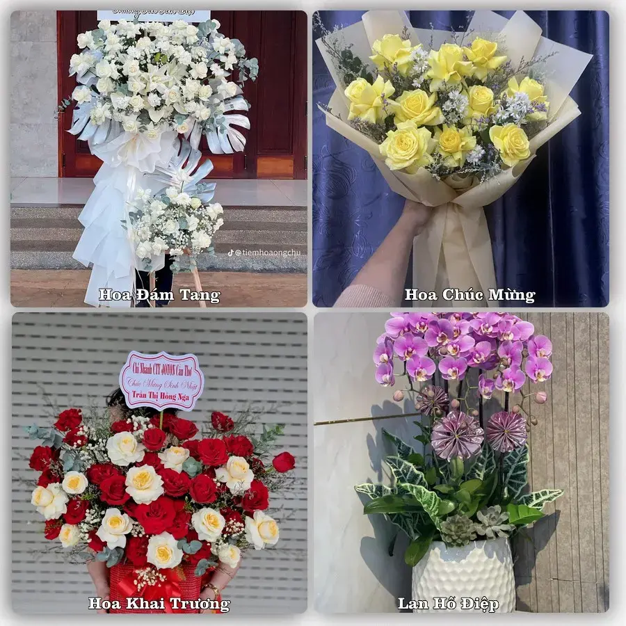 Shop hoa tươi Si Ma Cai – Giao tận nơi trong 2 giờ