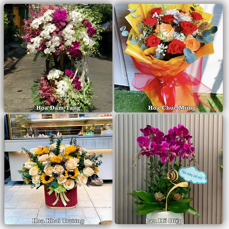 Tư vấn chọn hoa theo từng dịp tại Si Ma Cai