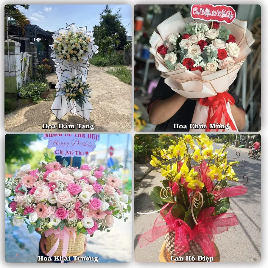 Tư vấn chọn hoa theo từng dịp tại Sịa, Quảng Điền