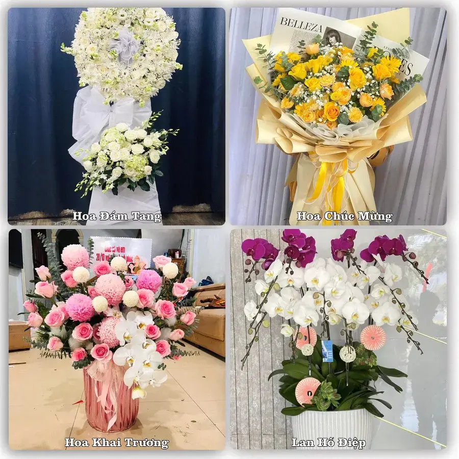 Tư vấn chọn hoa theo từng dịp tại Sìn Hồ