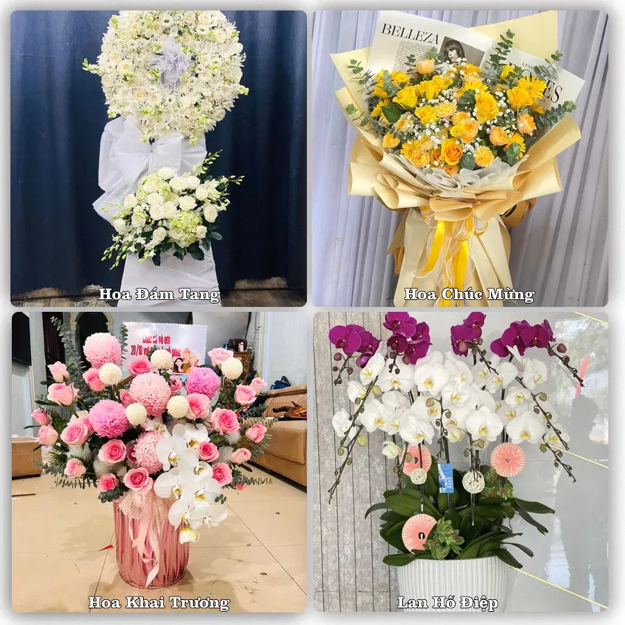 Tư vấn chọn hoa theo từng dịp tại Sìn Hồ