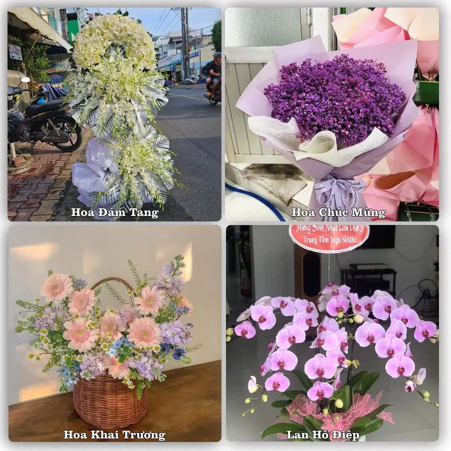 Mẫu hoa tươi dành cho khách đặt hoa tại Sóc Sơn