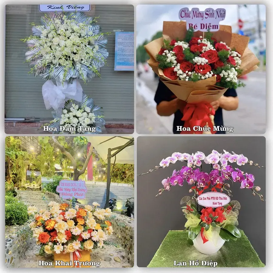 Shop hoa tươi Sơn Dương – Nhận giao hoa trong ngày