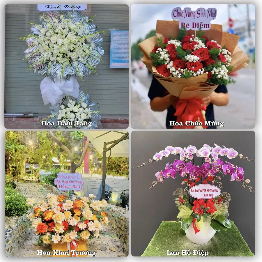 Mẫu hoa tươi dành cho khách đặt hoa tại Sơn Dương