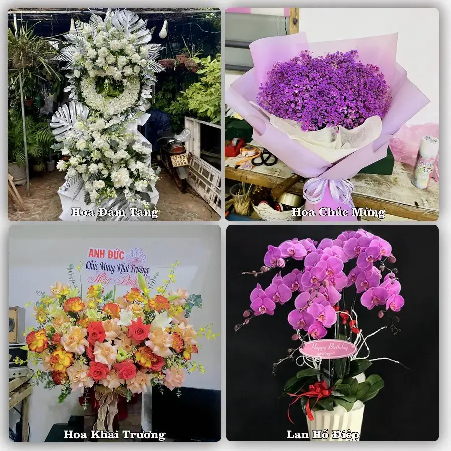 Tư vấn chọn hoa theo từng dịp tại Sơn Dương
