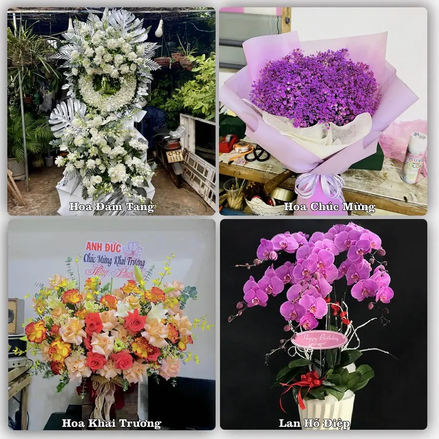 Tư vấn chọn hoa theo từng dịp tại Sơn Dương